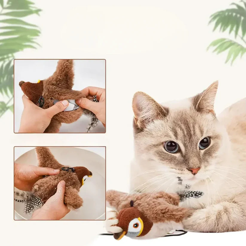 Interactive Cat Toy