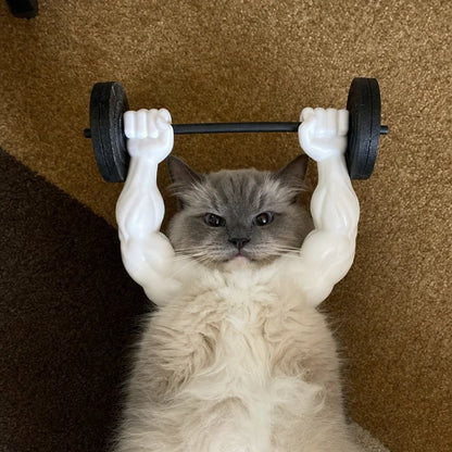 Buff Cat Arms