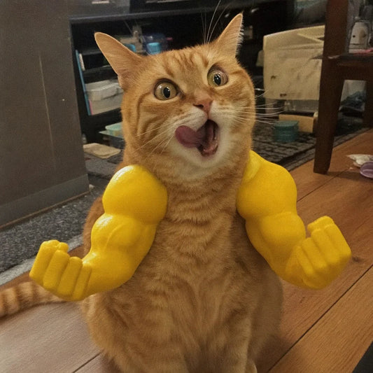 Buff Cat Arms